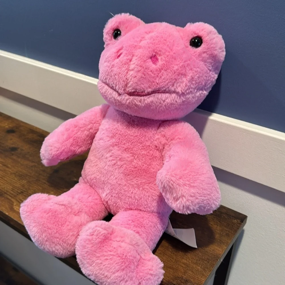 Build A Bear Spring Pink Frog Smile Plush  2022 16" strawberry scented - Picture 3 of 10